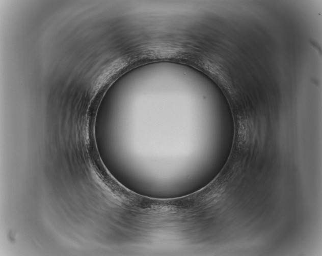 X0000102260582200808011406