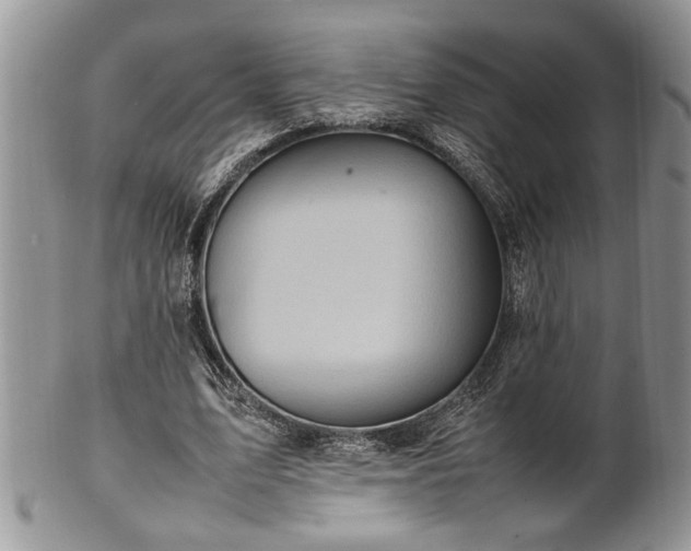 X0000102260583200808011406