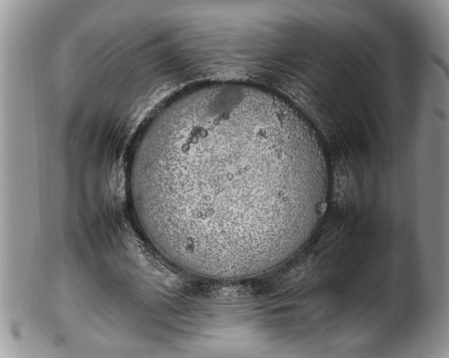 X0000102260584200808011406