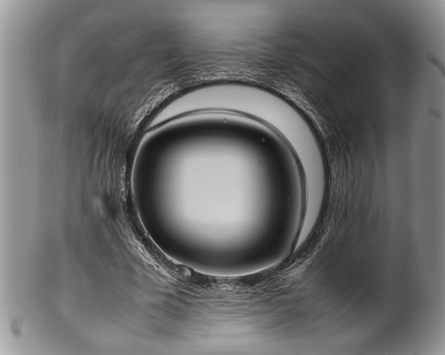 X0000102260585200808011406