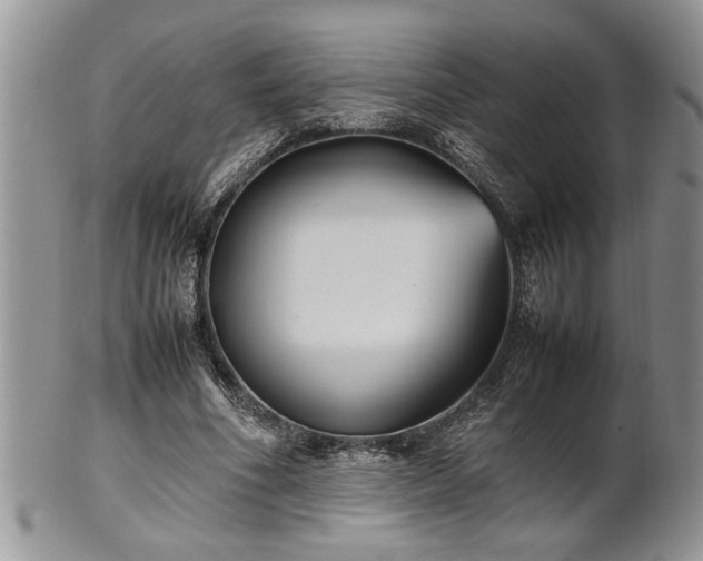 X0000102260586200808011406