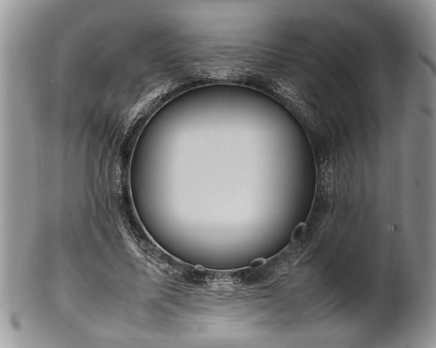 X0000102260587200808011406