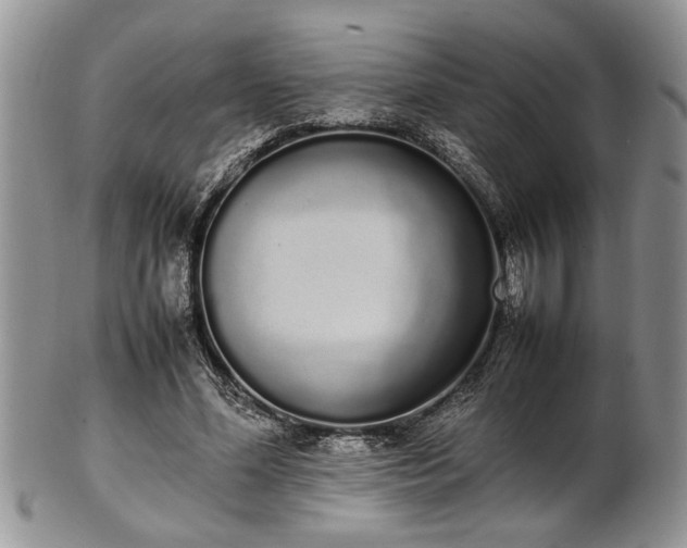 X0000102260588200808011406