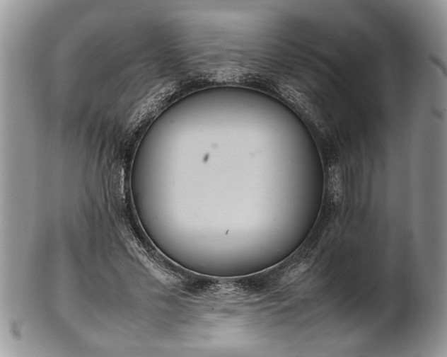 X0000102260589200808011406