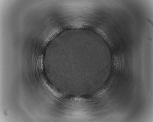 X0000102260590200808011406