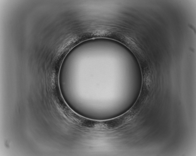 X0000102260591200808011406