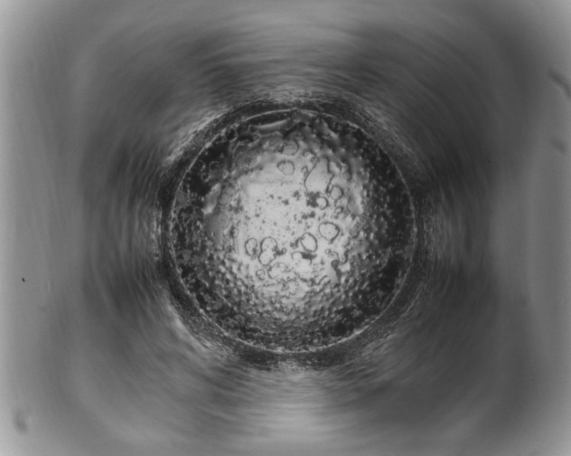 X0000102260592200808011406