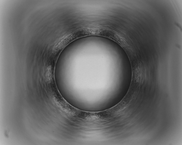 X0000102260594200808011406