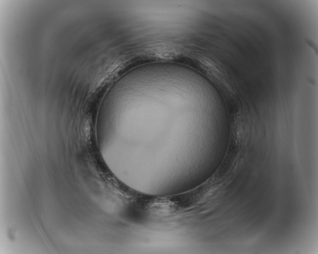 X0000102260595200808011406