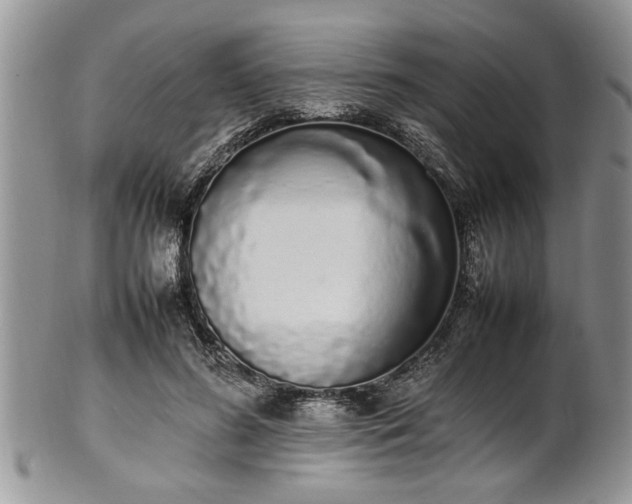 X0000102260596200808011406