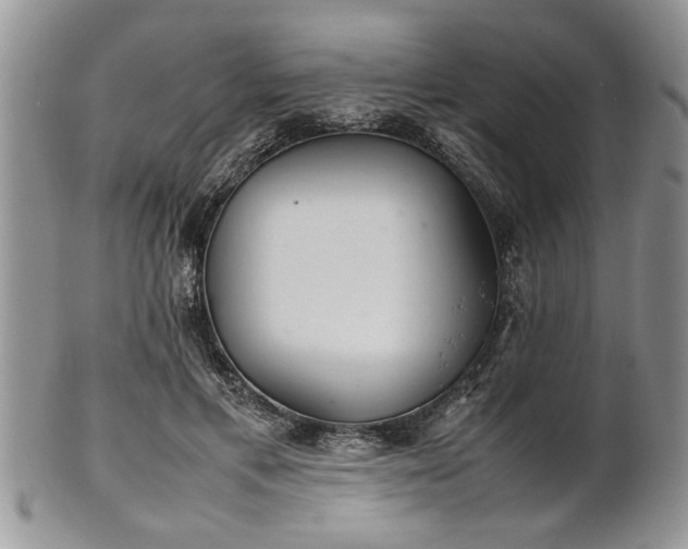 X0000102260597200808011406