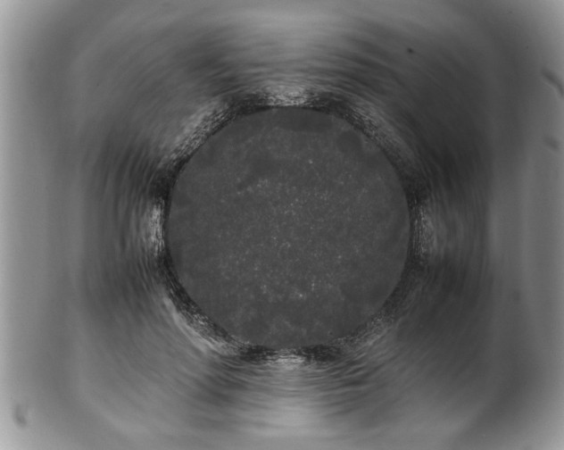 X0000102260598200808011406