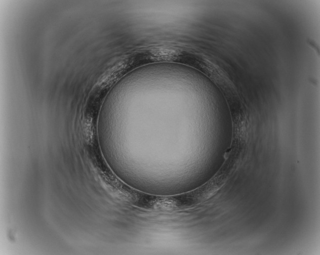 X0000102260599200808011406