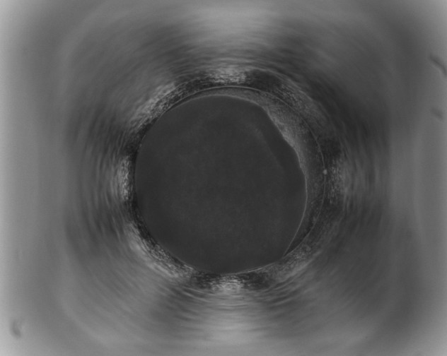 X0000102260600200808011406