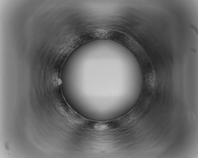 X0000102260602200808011406