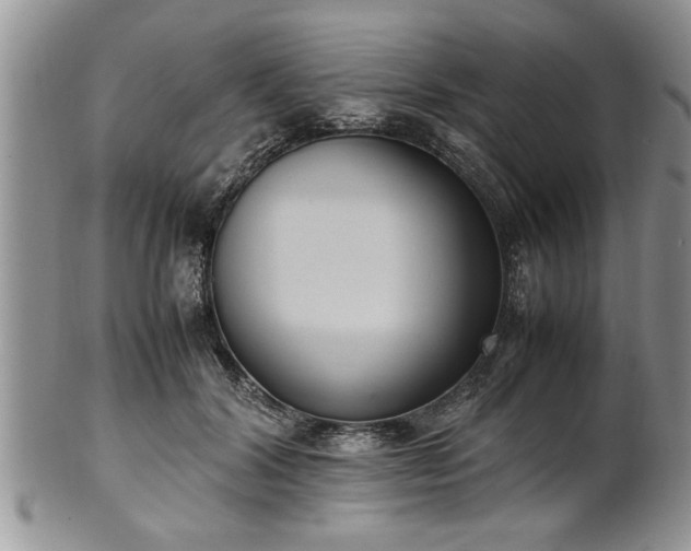 X0000102260604200808011406