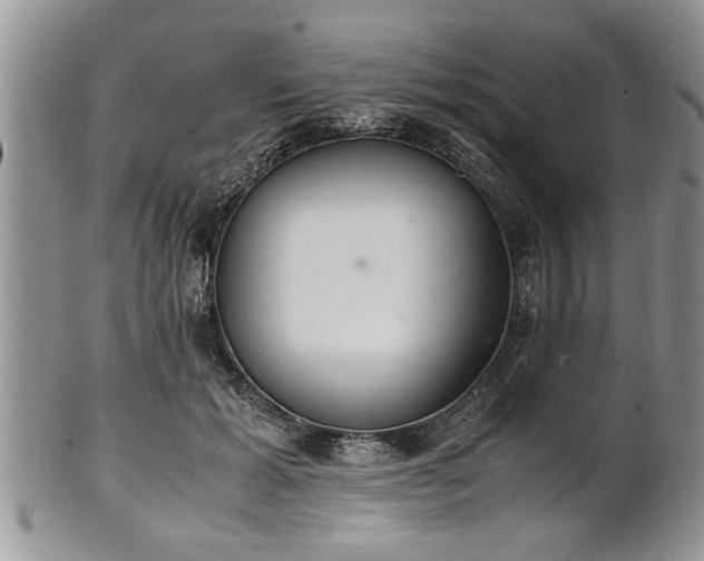 X0000102260605200808011406