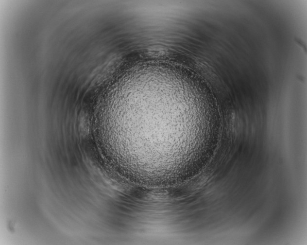 X0000102260606200808011406