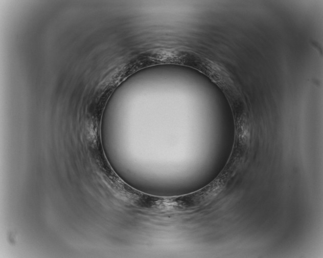 X0000102260607200808011406