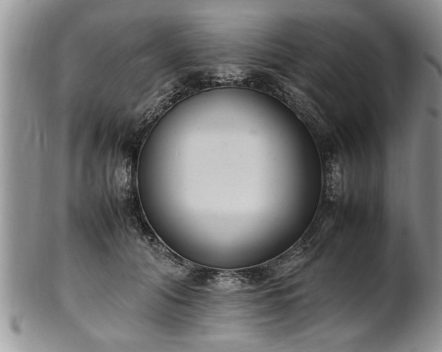 X0000102260608200808011406