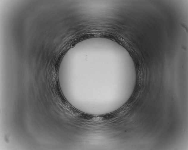 X0000102260609200808011406