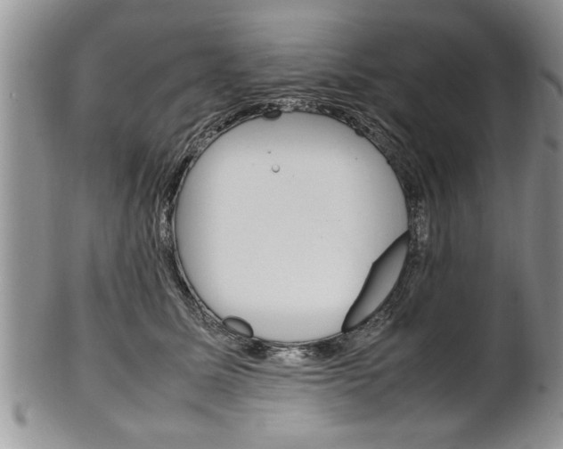 X0000102260611200808011406