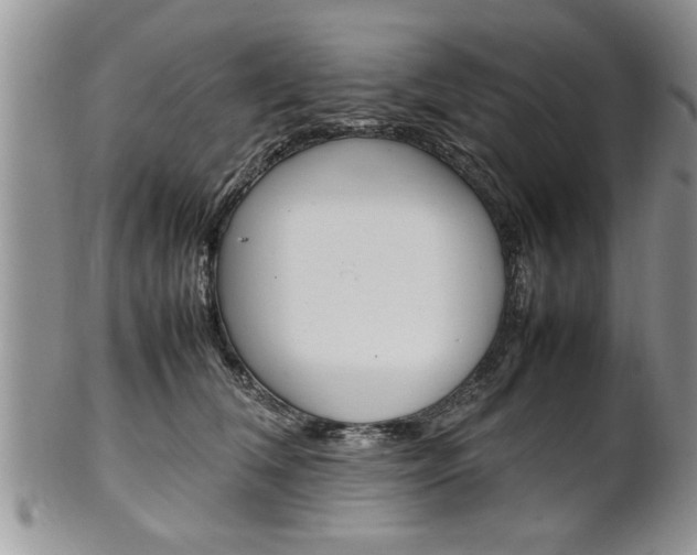 X0000102260612200808011406