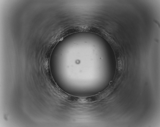 X0000102260613200808011406