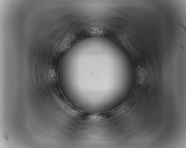 X0000102260614200808011406