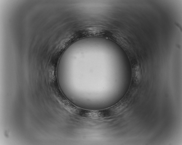 X0000102260615200808011406