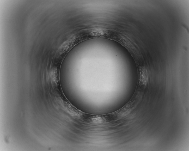 X0000102260616200808011406