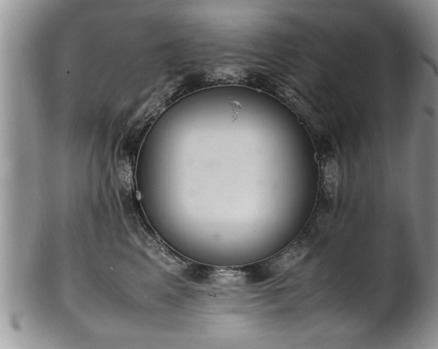 X0000102260617200808011406