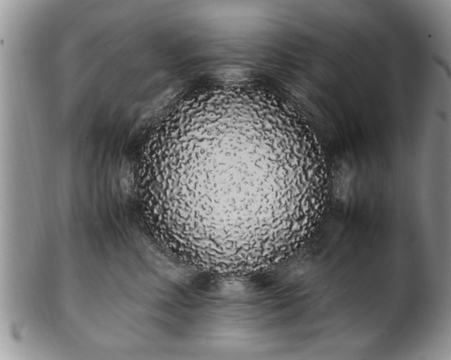 X0000102260618200808011406