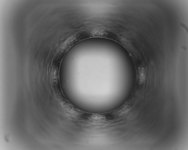 X0000102260619200808011406