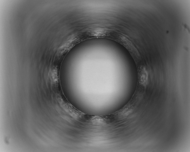 X0000102260620200808011406