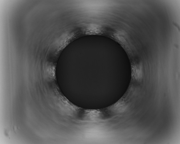 X0000102260621200808011406