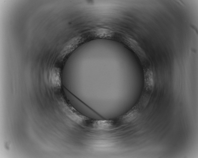 X0000102260622200808011406