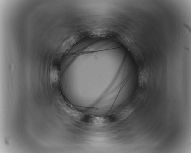 X0000102260623200808011406