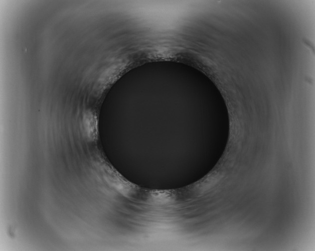 X0000102260624200808011406