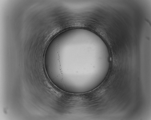 X0000102260625200808011405