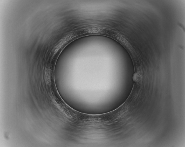 X0000102260626200808011405