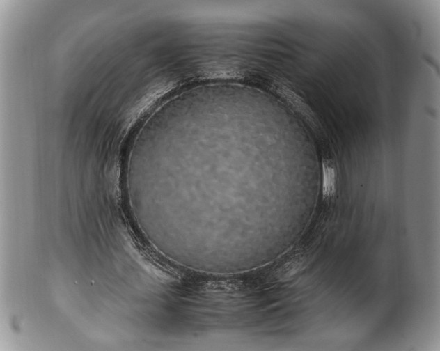 X0000102260627200808011405