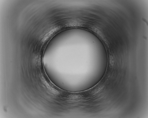 X0000102260629200808011405