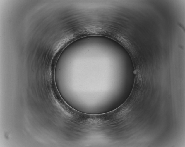 X0000102260630200808011405