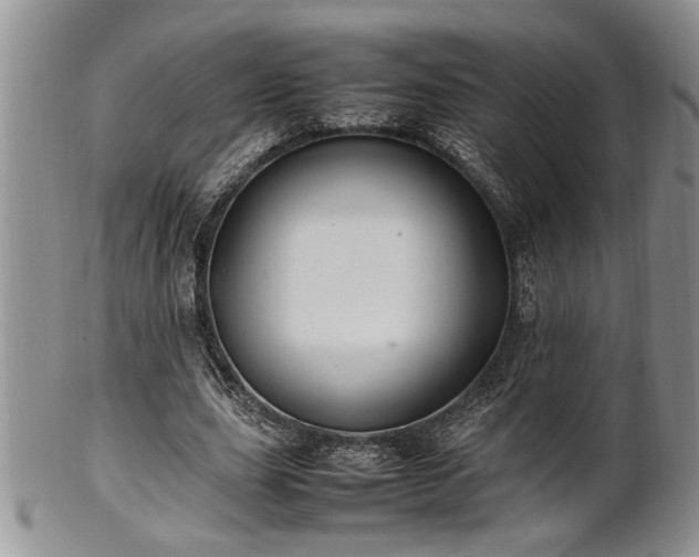 X0000102260631200808011405