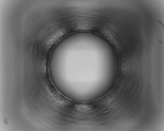 X0000102260635200808011405