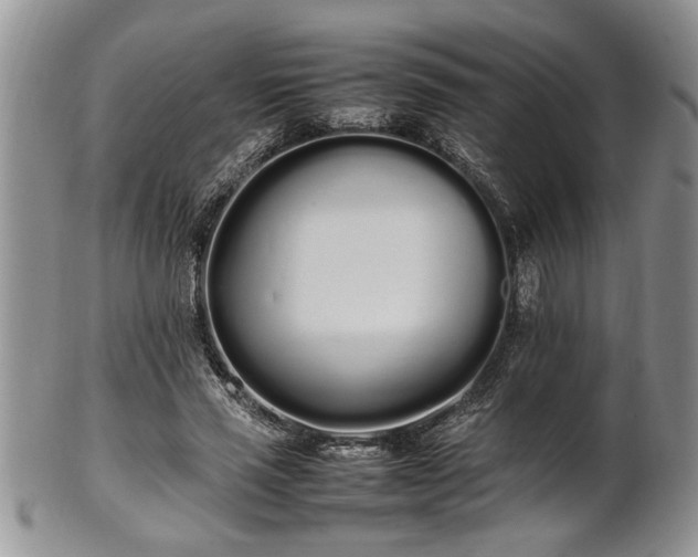 X0000102260637200808011405