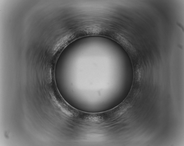 X0000102260638200808011405