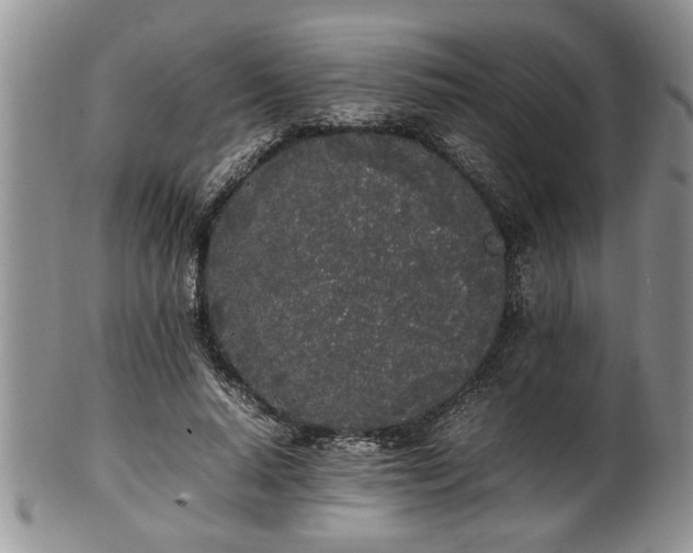 X0000102260640200808011405