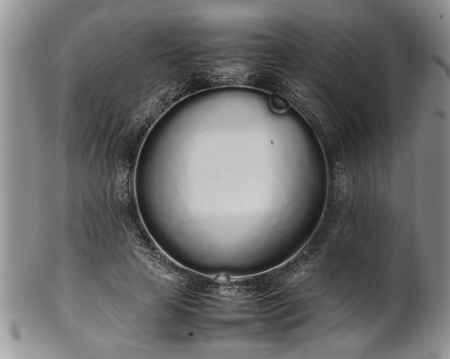 X0000102260641200808011405